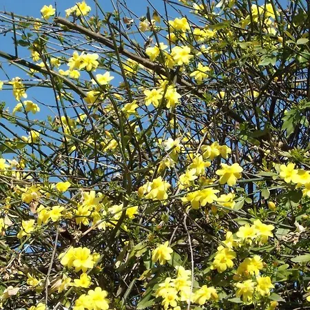 Luxury House Bassano del Grappa