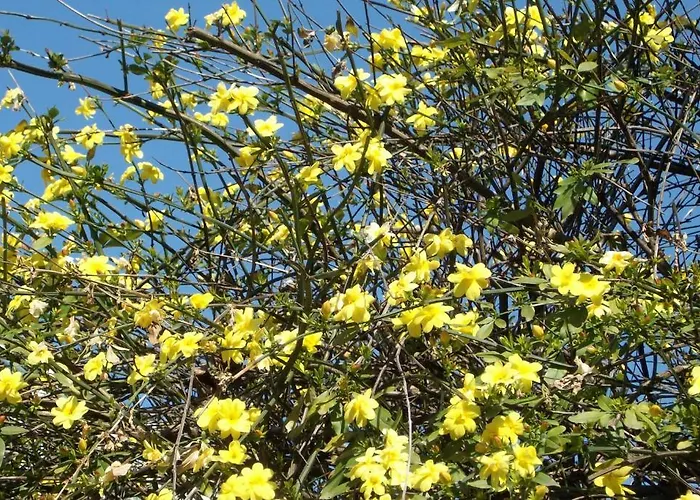 Luxury House Bassano del Grappa